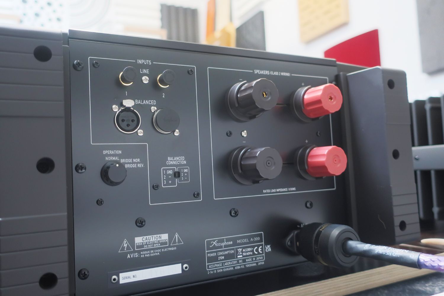 2025-02-28-TST-Accuphase-A-300-15